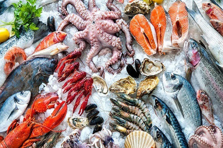 Đau cột sống lưng trên nên ăn gì? Các loại hải sản và cá nên được bổ sung vào chế độ ăn uống để giảm cơn đau hiệu quả